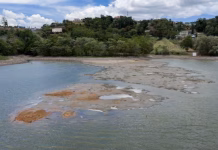 Declaran zonas de desastre por sequía a las Islas Vírgenes de Estados Unidos
