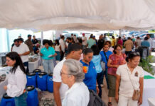 Larimar dominicano fortalece su oferta para el mercado local