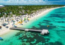 Daña la economía llevar el desorden a las playas