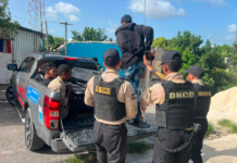 La DNCD y el Ministerio dispusieron de mas de 300 operativos y allanamientos en el Este