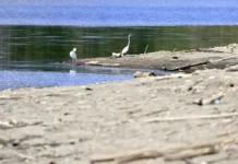 La sequía extrema aumenta en Puerto Rico, afectando al 17 % del territorio