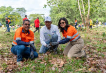 Barrick Pueblo Viejo reforesta 1.2 hectáreas de la cuenca del arroyo Margajita en Hatillo
