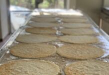 Productores de casabe y yuca piden a Abinader observar ley que crea INDOCASABE