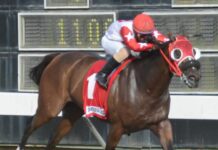 Grateful Lady es favorita para ganar Clásico Felo Flores en el Quinto