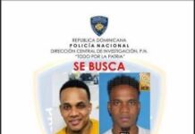 Cae abatido reconocido delincuente “El Come Hombre de Los Frailes” tras enfrentar al DICRIM