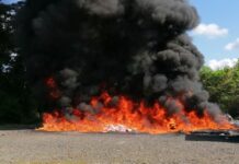 El Inacif destruye más de dos toneladas de cocaína y marihuana