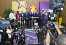 PLD demanda auditoría independiente a las EDE