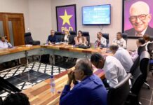 PLD da a conocer orden de la boleta de la consulta