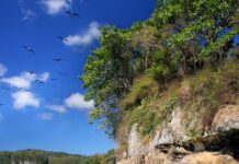 Parques nacionales y títulos de propiedad