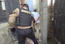DNCD incauta más de 930,000 gramos de distintos narcóticos y detienen a más de 3,000 personas