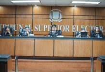 TSE otorga plazo común de 10 días a las partes en caso partnidos obtuvieron el 1% en las elecciones del 2024