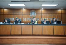 TSE declara inadmisible acción de amparo contra el PLD por ser notoriamente improcedente