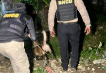 DNCD ejecuta 41 intervenciones en Boca Chica; ocupa 1,683 gramos de distintas drogas