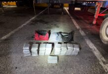 DNCD incauta 42 paquetes de presunta cocaína en Puerto Caucedo