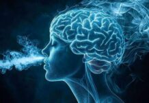 Cada respiración tiene un impacto único en el cerebro