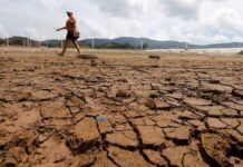 ONU: El Niño sumará 16 millones de personas con inseguridad alimentaria en América Latina