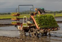 Voces contra el aguijón agropecuario