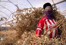 El potencial verde de Latinoamérica, entre la geopolítica y el desafío de El Niño