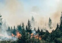 Canadá advierte de que parte de los efectos del cambio climático ya son irreversibles