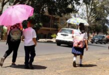 La OMS pide a países impactados por El Niño que preparen sus capacidades sanitarias