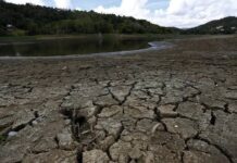 El 40 % de Puerto Rico sufre sequía extrema, un 4 % menos ante la semana pasada