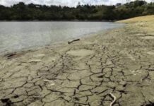 La sequía extrema en Puerto Rico disminuye de 39 % a 37 % en una semana